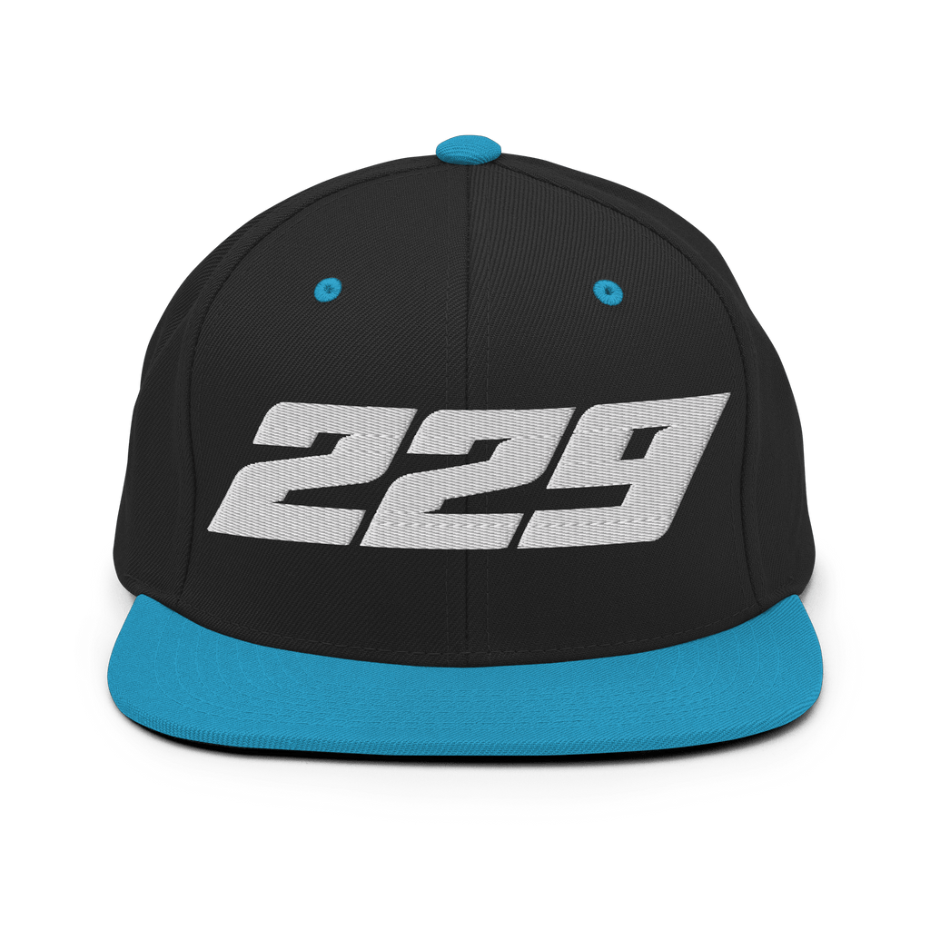 229 - Snapback Hat